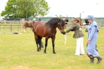 SBM_04194