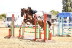 SBM_000637