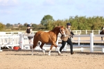 SBM_08436