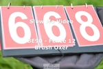 ESP_668