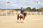 SBM_009915