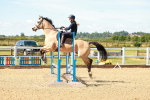 SBM_005113