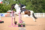 Cls 23 85cm Amateur Qualifier portfolio
