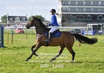 BPP_1246