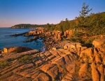 Istock #19071164