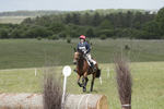 BVHT 140517  IXC -253