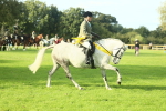 SBM_52274