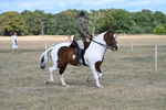 WJ7_6791