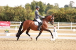 SBM_016964