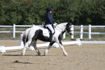 SBM_001232