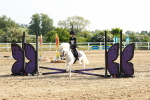 SBM_006315