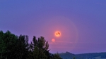 Lilac Sky Red Moon 1494