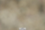 230630A-150626-03103