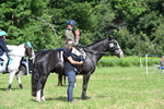 WJ7_1775