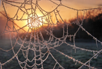 z1192 Ice Web, Havenstreet