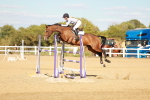 SBM_007953