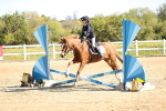 SBM_000583