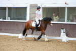 Class 10-9-12 - MQ Open N1-U21 N1-Open N2 portfolio