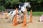 Class 8: Senior Newcomers/1.10m open portfolio