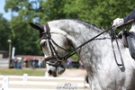 159-HATHAWAY_ROYALE-Izzy_Taylor-WEDTrotUp+DR portfolio