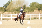 SBM_017343