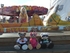 Canoeing Bears