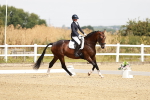 SBM_002597