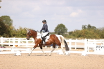 SBM_03723