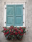 Venice window box