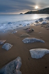 Ballycotton3
