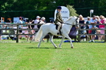 SBM_07808