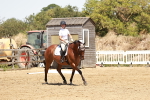 SBM_002979