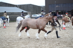 SBM_006164