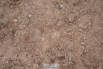 240713A-141648-00833