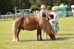 SBM_01822