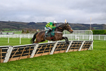 121225-Race 3-Iberico Lord-5046