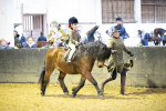 SBM_008791