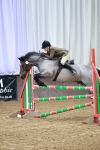 SBM_007939