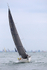 190803 JUST SO GBR529R 1Y3A7550