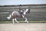 SBM_008091