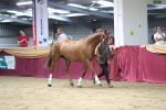 SBM_05075