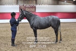 BPP_2539