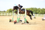SBM_005020