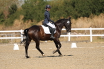 SBM_013478