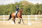 SBM_010525