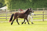 SBM_00387
