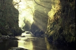 Fairy Glen 89-9-11