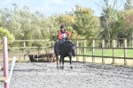 12TH OCTOBER 2024 - ARENA EVENT - GREENFIELDS OF AVONDALE portfolio