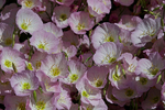 JUNE 2015-42