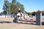 SBM_16016